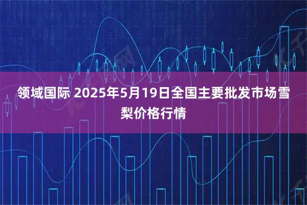 领域国际 2025年5月19日全国主要批发市场雪梨价格行情