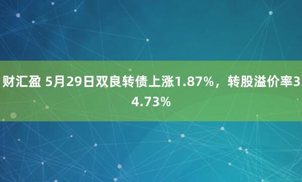 财汇盈 5月29日双良转债上涨1.87%，转股溢价率34.73%