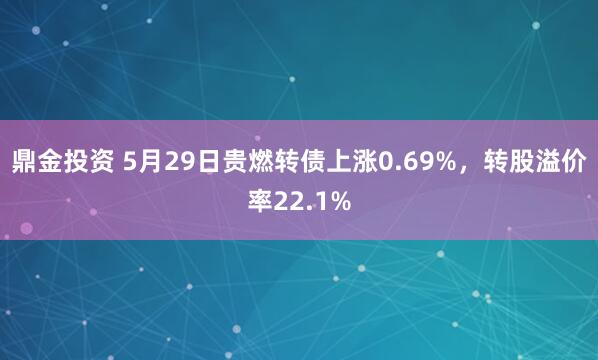 鼎金投资 5月29日贵燃转债上涨0.69%，转股溢价率22.1%