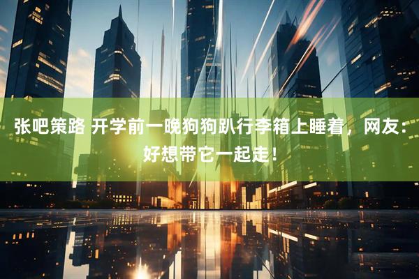 张吧策路 开学前一晚狗狗趴行李箱上睡着，网友：好想带它一起走！