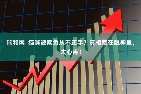 瑞和网  猫咪被欺负从不还手？真相藏在眼神里，太心疼！