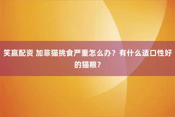 笑赢配资 加菲猫挑食严重怎么办？有什么适口性好的猫粮？