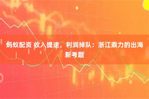 蚂蚁配资 收入提速，利润掉队：浙江鼎力的出海新考题